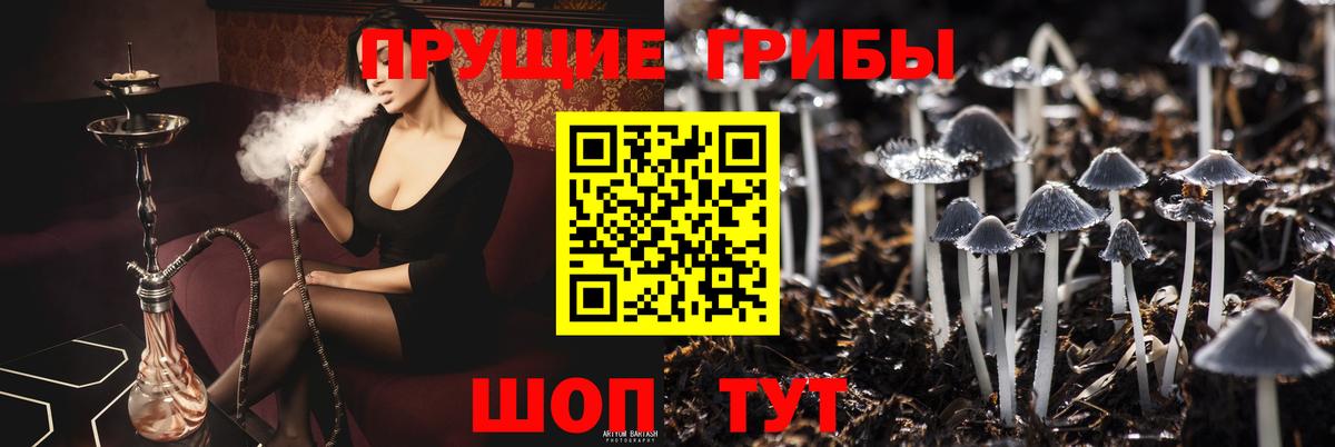 Псилоцибиновые грибы прущие грибы Прохладный