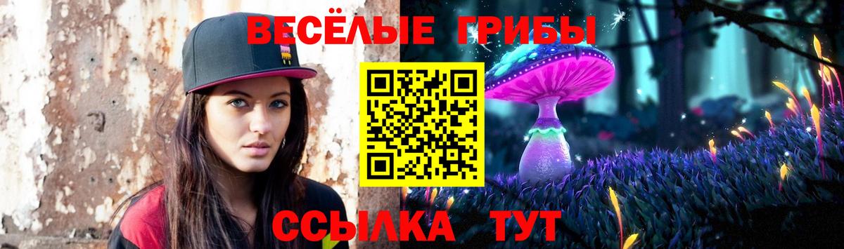 Прохладный  Галлюциногенные грибы мухоморы  Вход с VPN 